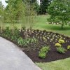 EastCoast Landscape Design
